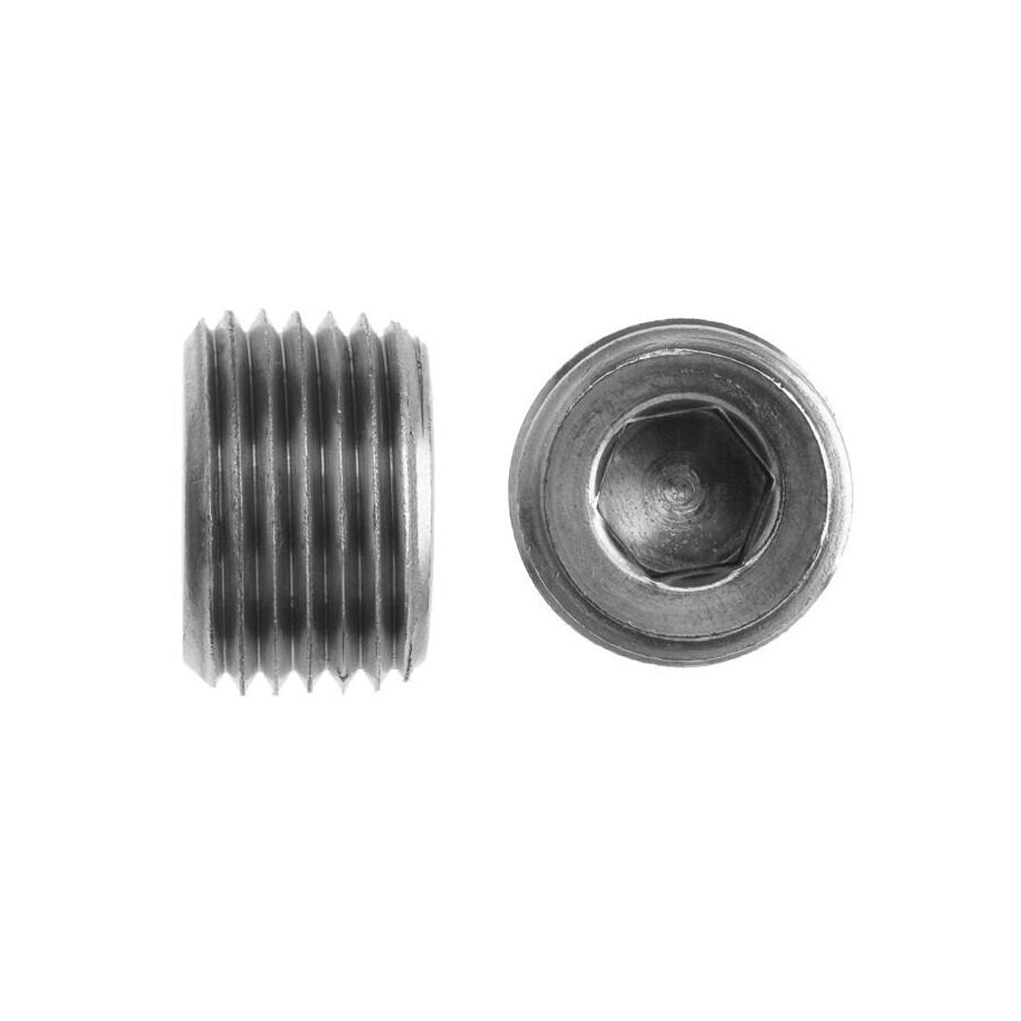 9500-HP Male BSPT Hollow Hex Plug