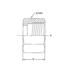 FS0318 ORFS Tube Nut