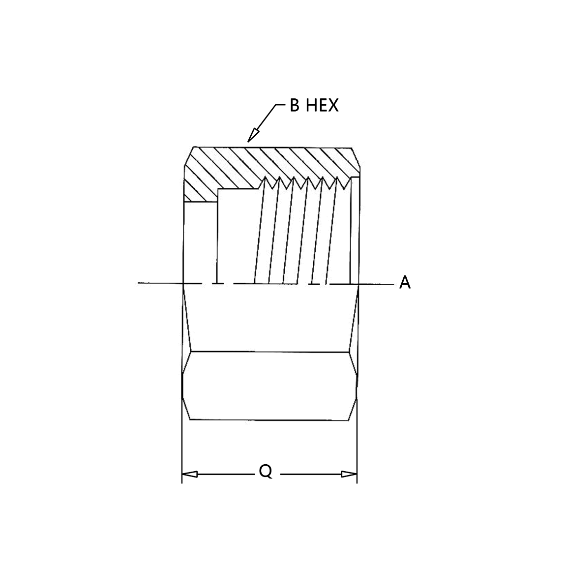 FS0318 ORFS Tube Nut